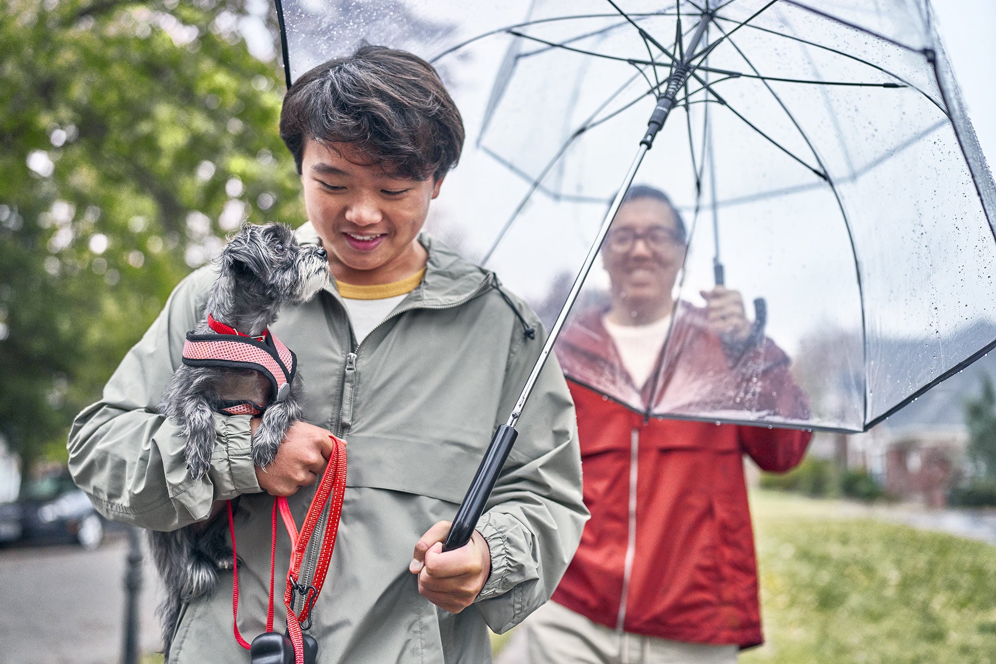 Nutritional needs of pets are unique.