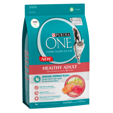 PURINA ONE Healthy Adult with Salmon & Tuna Dry Cat Food