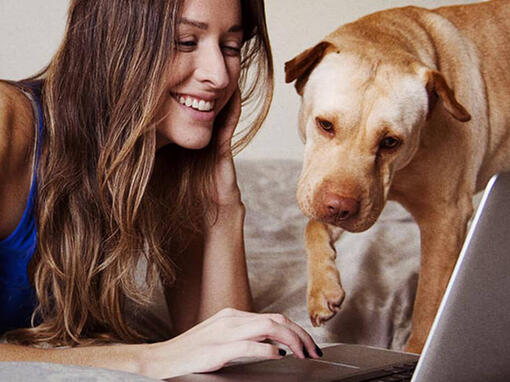 Woman and dog at laptop